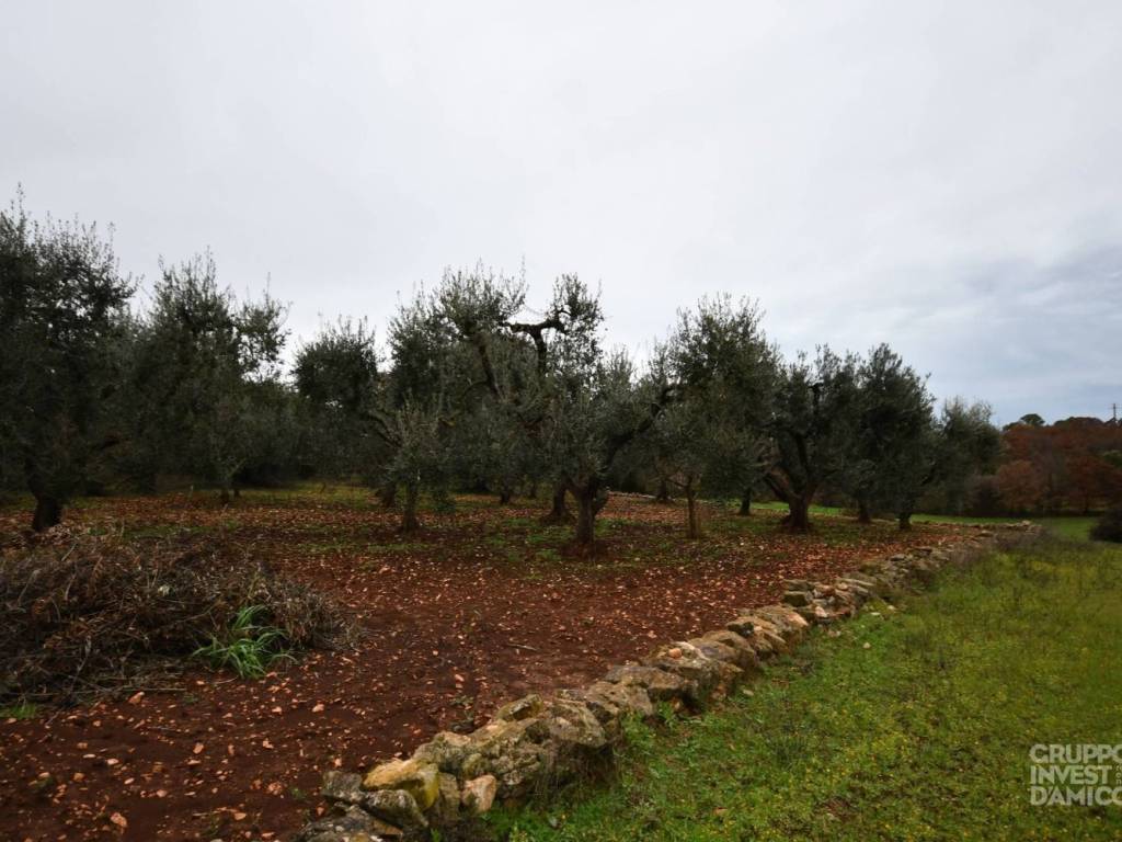 immagine annuncio 2 di 4