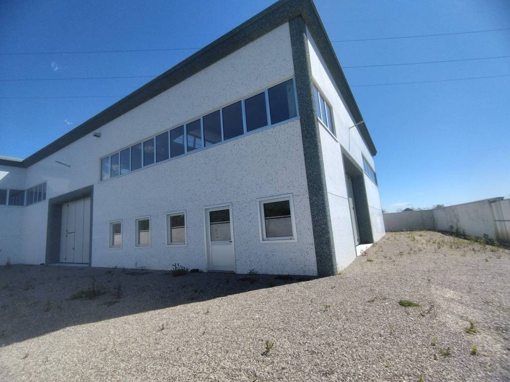 immagine annuncio 2 di 5