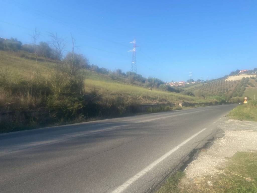 immagine annuncio 2 di 3