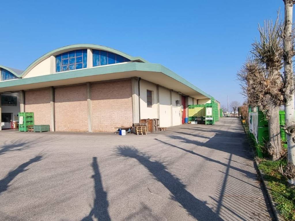 immagine annuncio 1 di 4