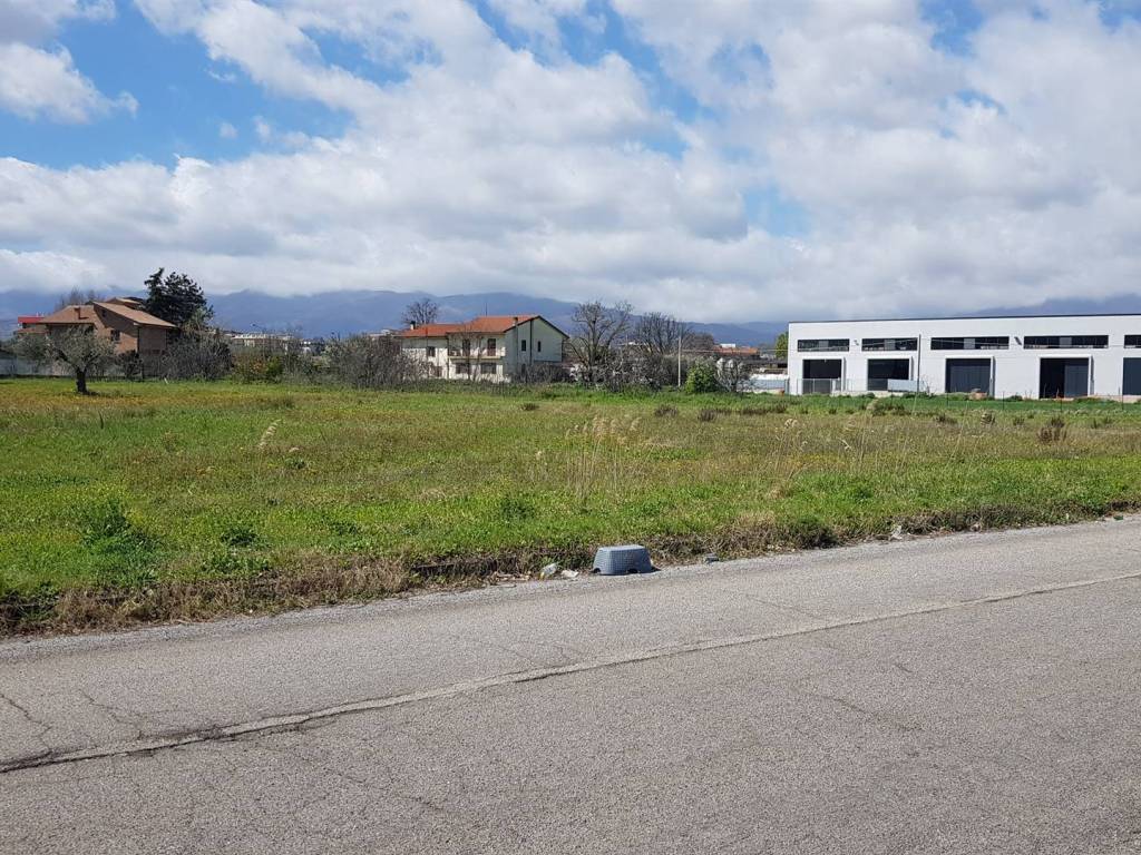 immagine annuncio 1 di 4