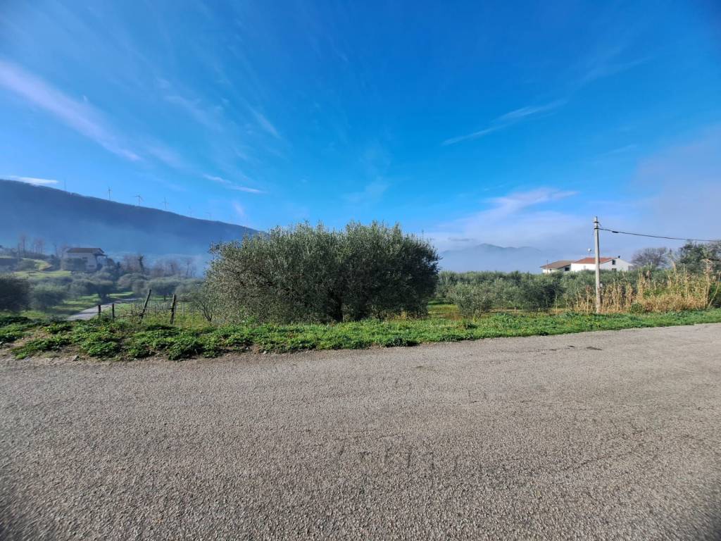 immagine annuncio 3 di 4