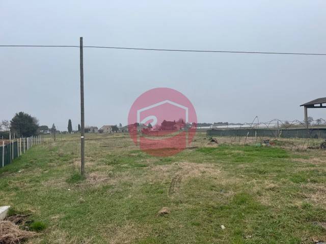 immagine annuncio 0 di 3