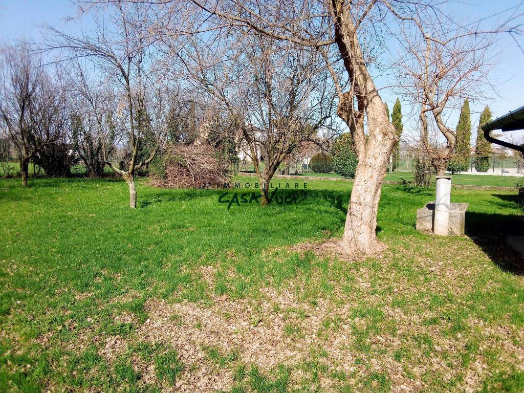 immagine annuncio 1 di 4