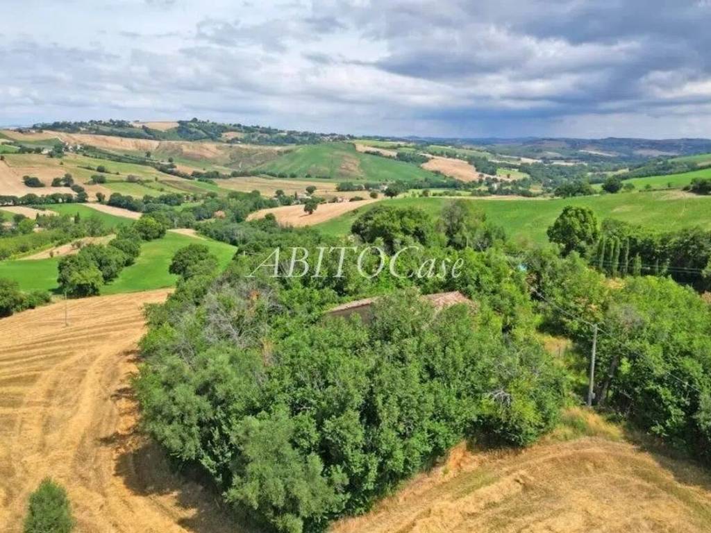 immagine annuncio 1 di 2