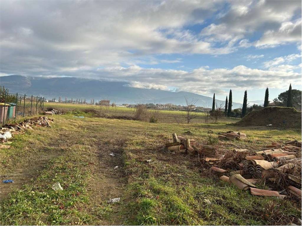 terreno edificabile in vendita a Cannara