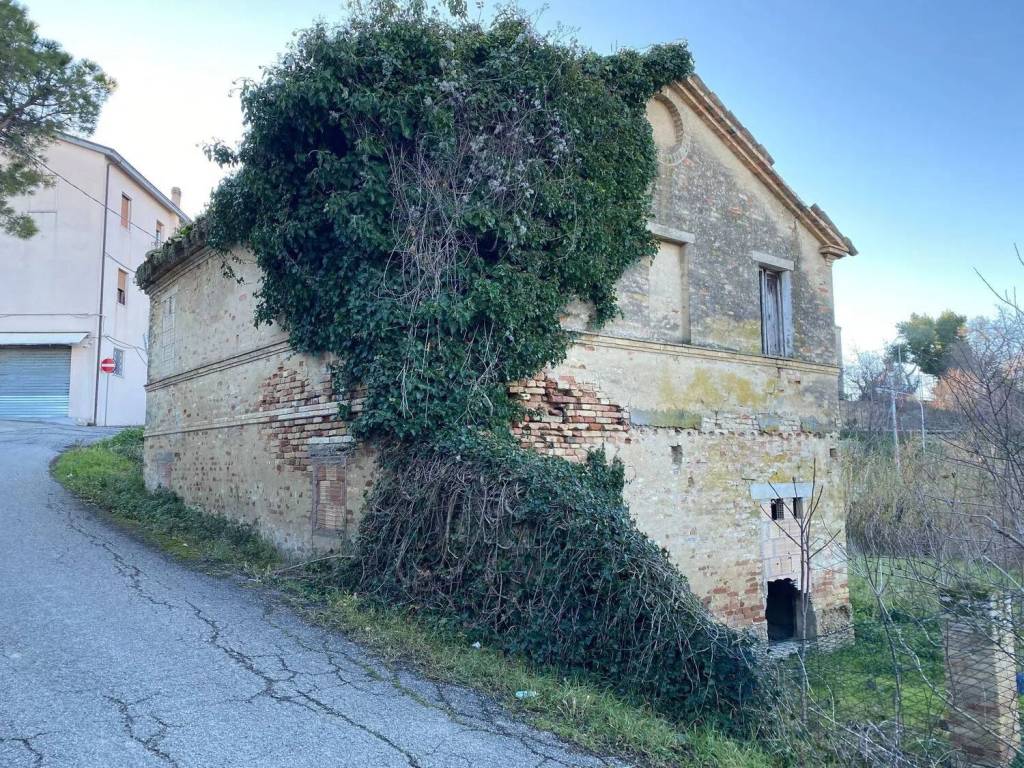 immagine annuncio 2 di 4