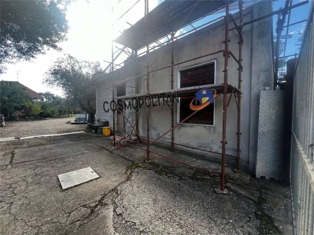 immagine annuncio 1 di 4