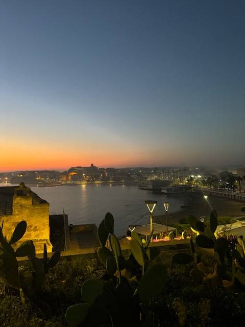 immagine annuncio 1 di 4