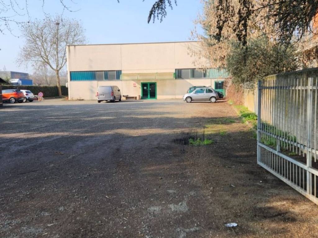 immagine annuncio 3 di 5