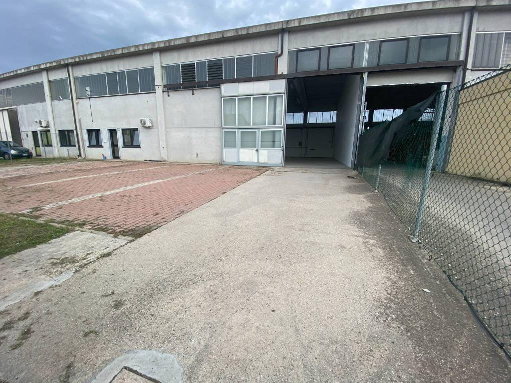 immagine annuncio 4 di 5