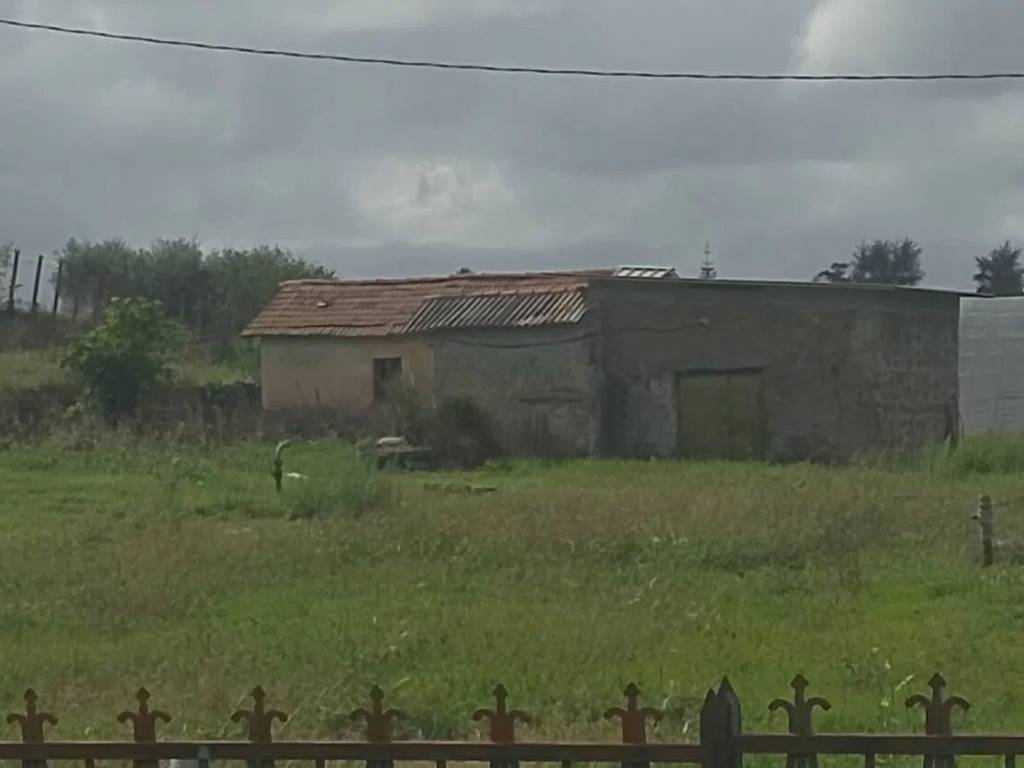 immagine annuncio 2 di 4