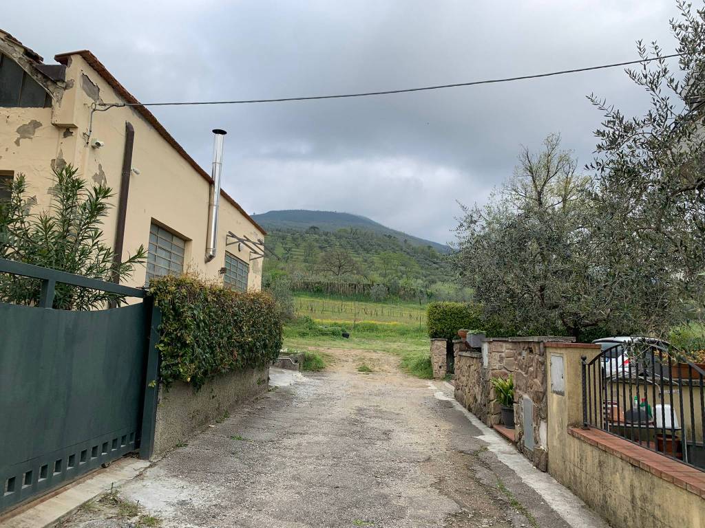 immagine annuncio 2 di 4