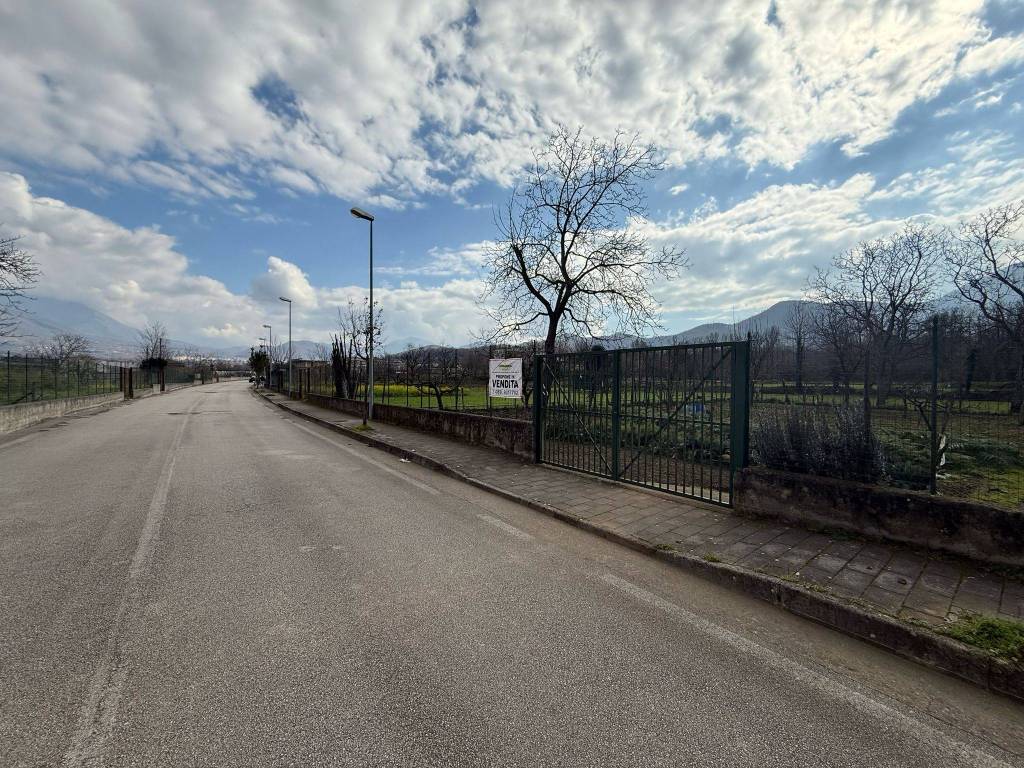 immagine annuncio 2 di 4