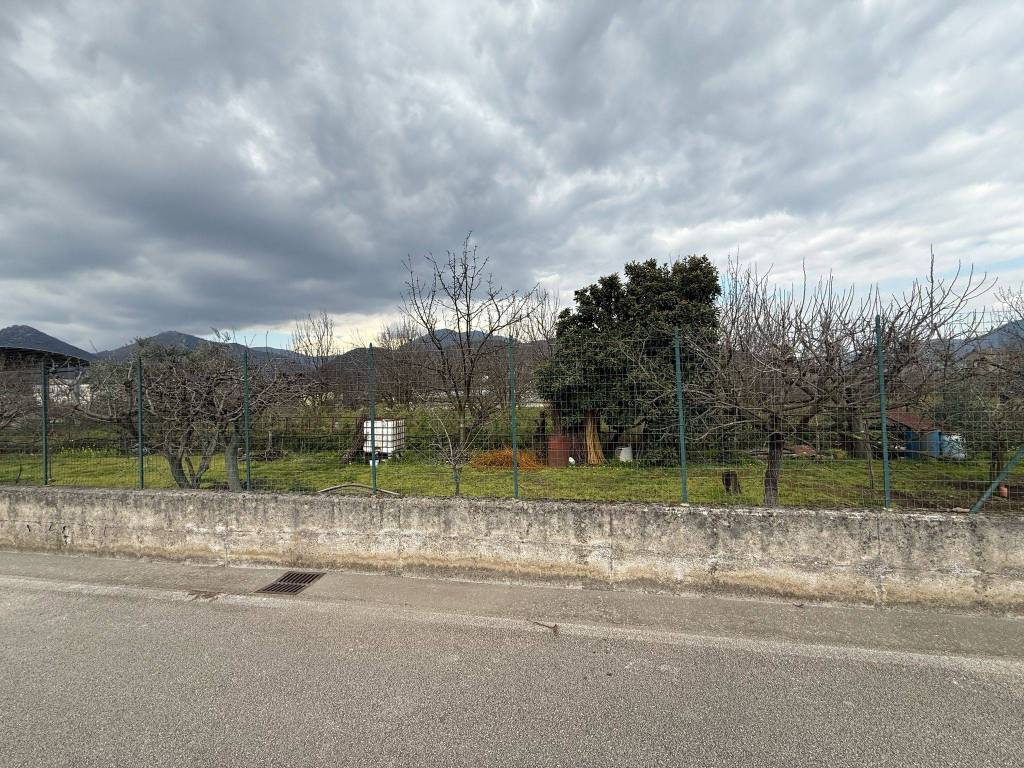 immagine annuncio 3 di 4