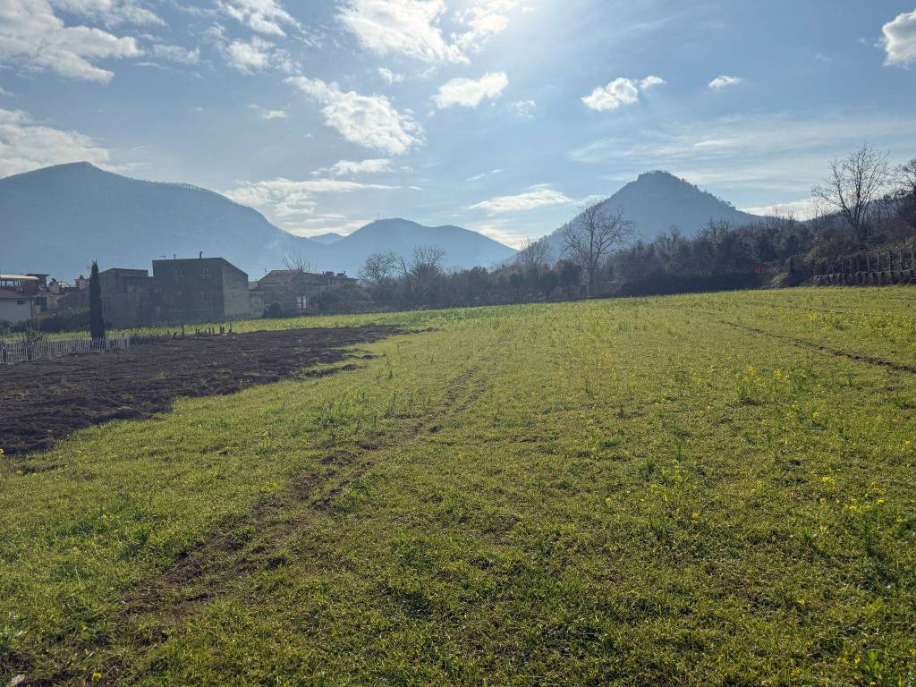 immagine annuncio 3 di 4
