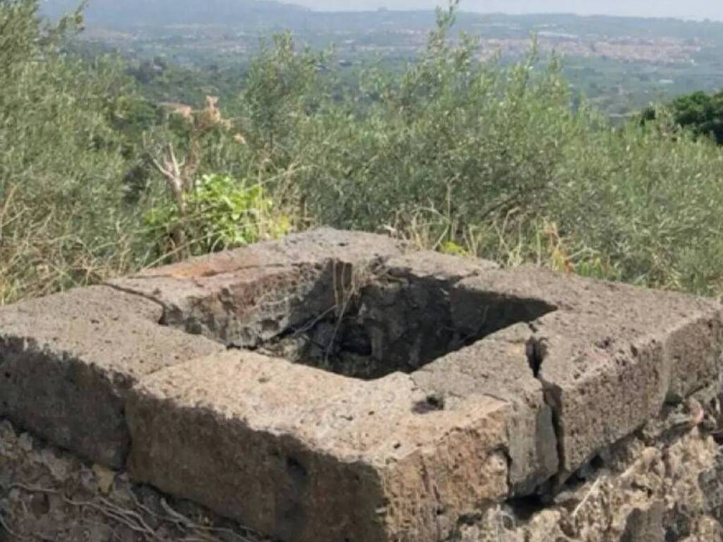 immagine annuncio 2 di 3
