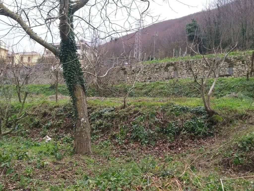 immagine annuncio 3 di 4