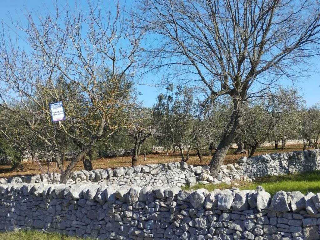 immagine annuncio 3 di 4