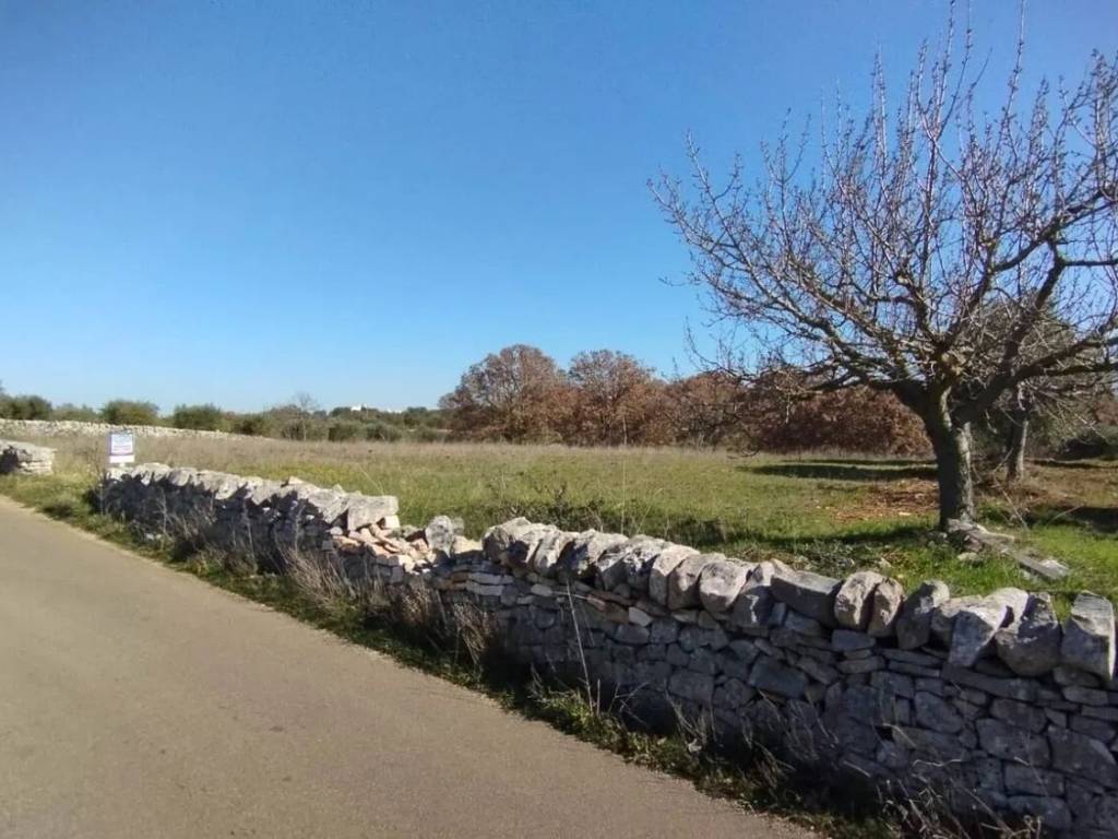 immagine annuncio 1 di 3