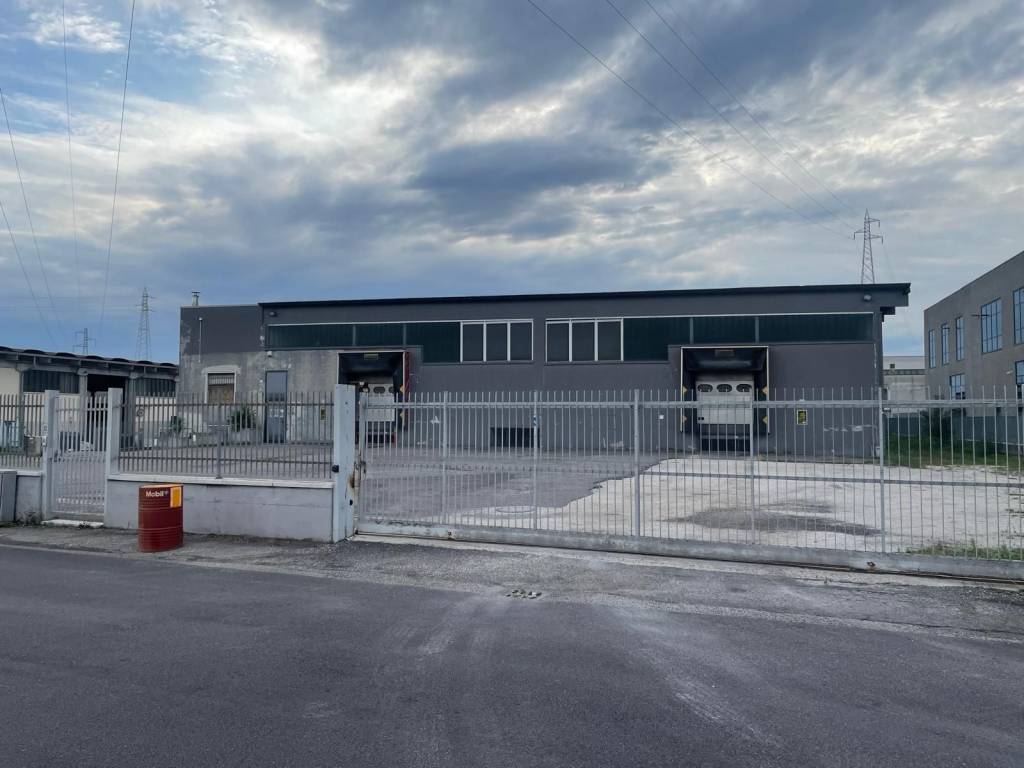 immagine annuncio 1 di 5