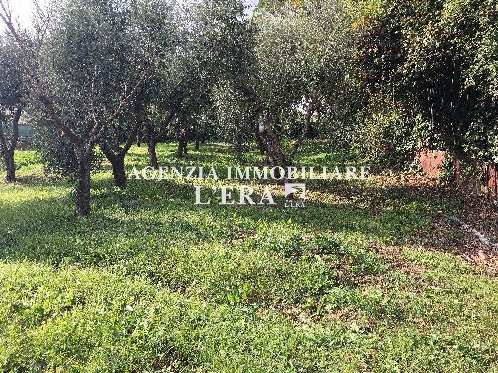 immagine annuncio 3 di 4