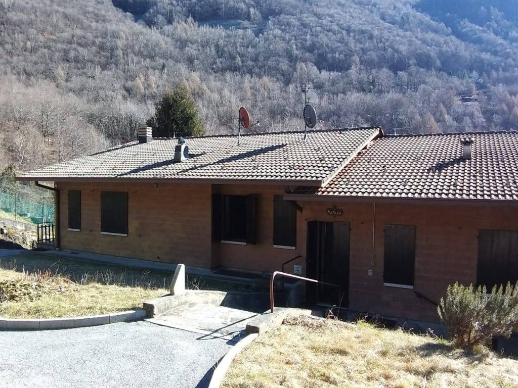 immagine annuncio 2 di 5
