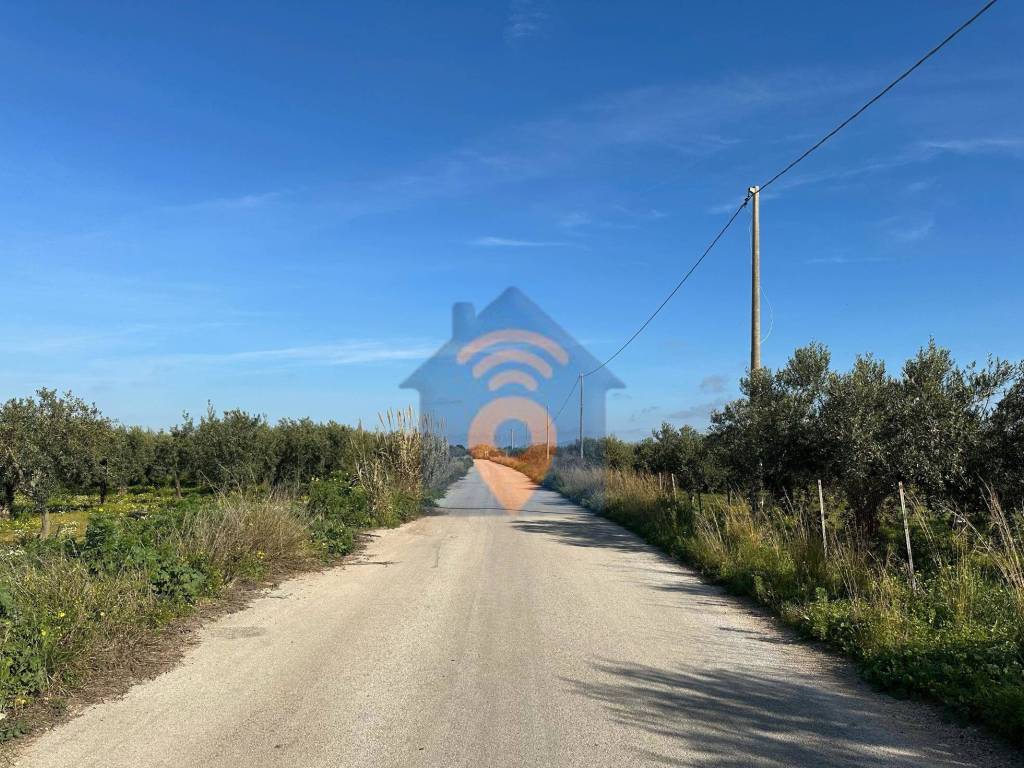 immagine annuncio 1 di 4