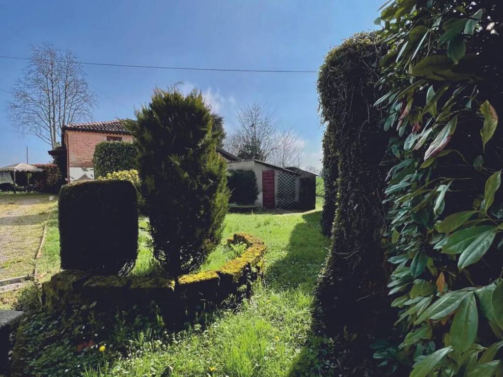 immagine annuncio 3 di 5