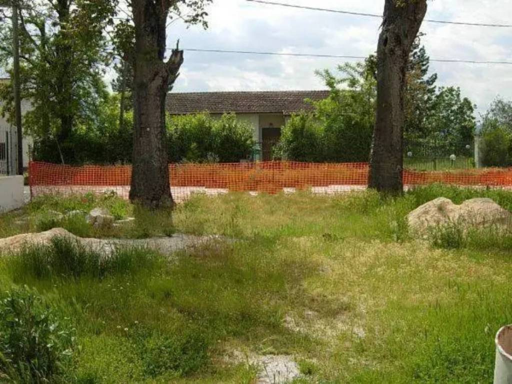 immagine annuncio 3 di 4