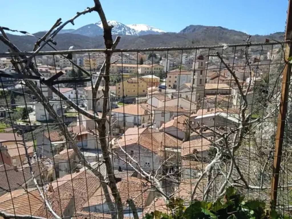 immagine annuncio 2 di 4