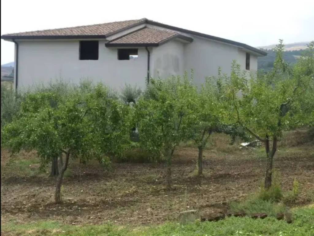 immagine annuncio 1 di 4