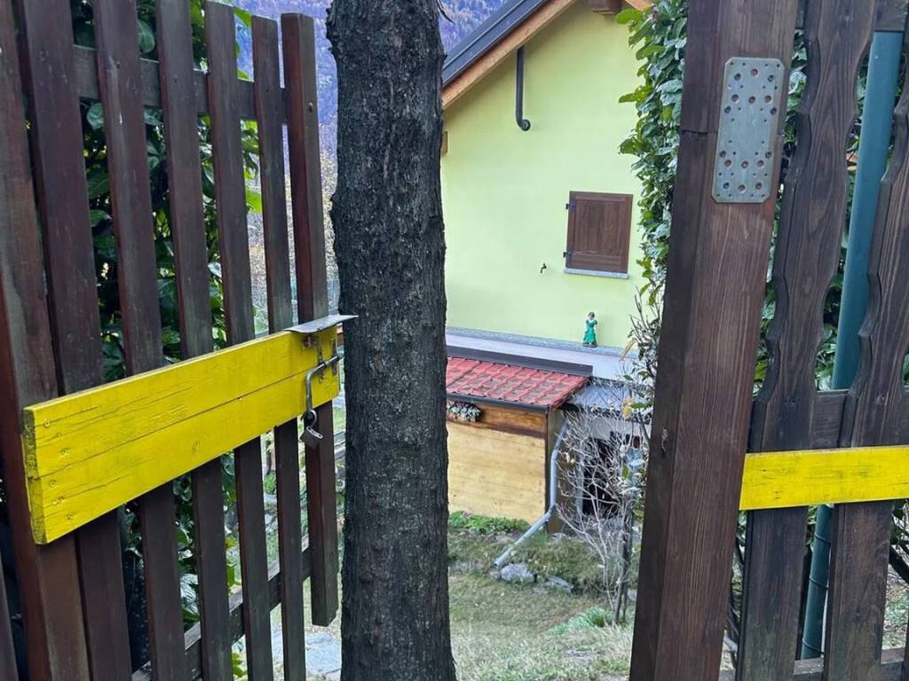 immagine annuncio 3 di 5