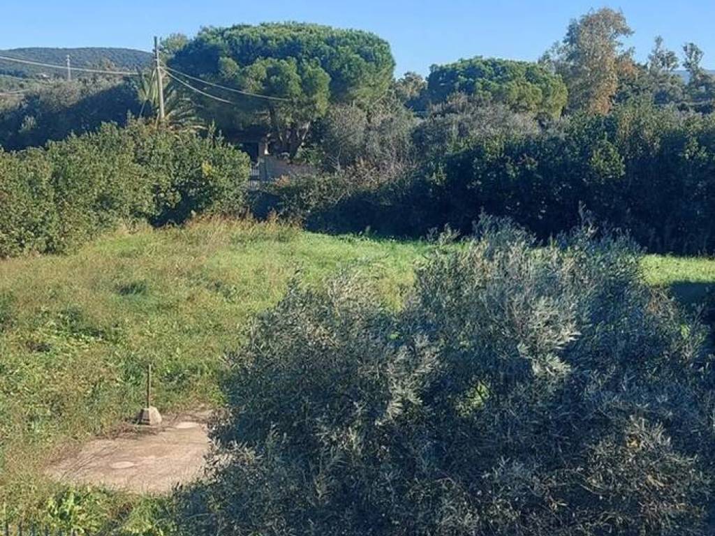 immagine annuncio 2 di 3