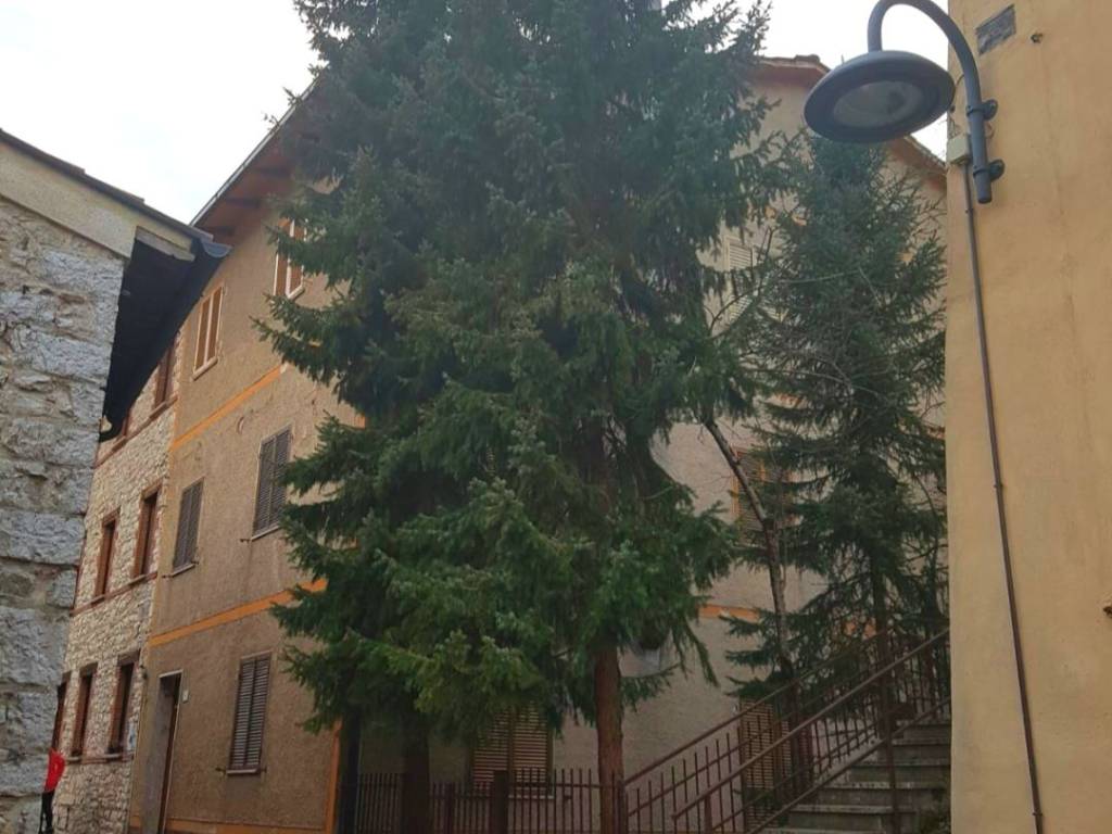 immagine annuncio 1 di 2