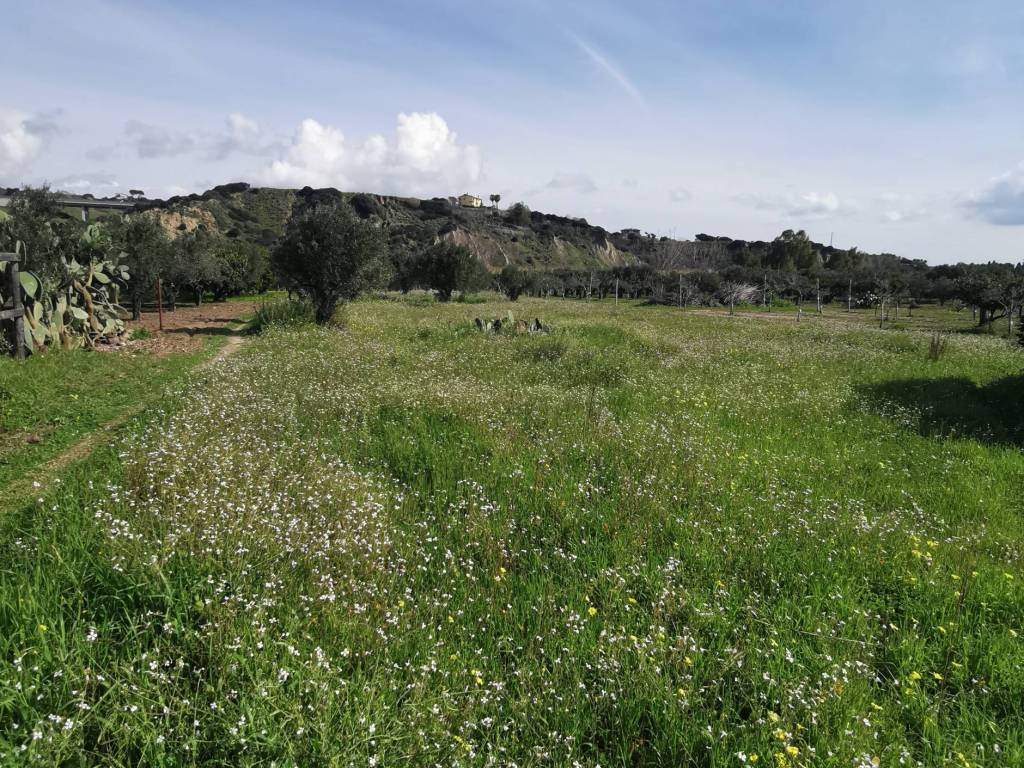 immagine annuncio 2 di 3