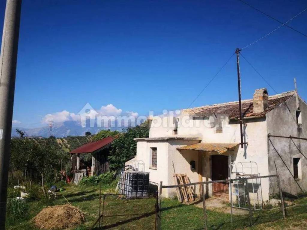 immagine annuncio 1 di 4