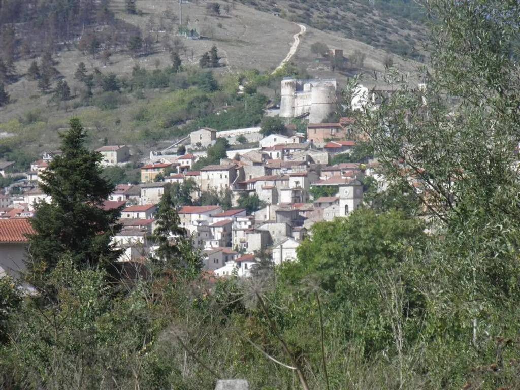 immagine annuncio 1 di 2