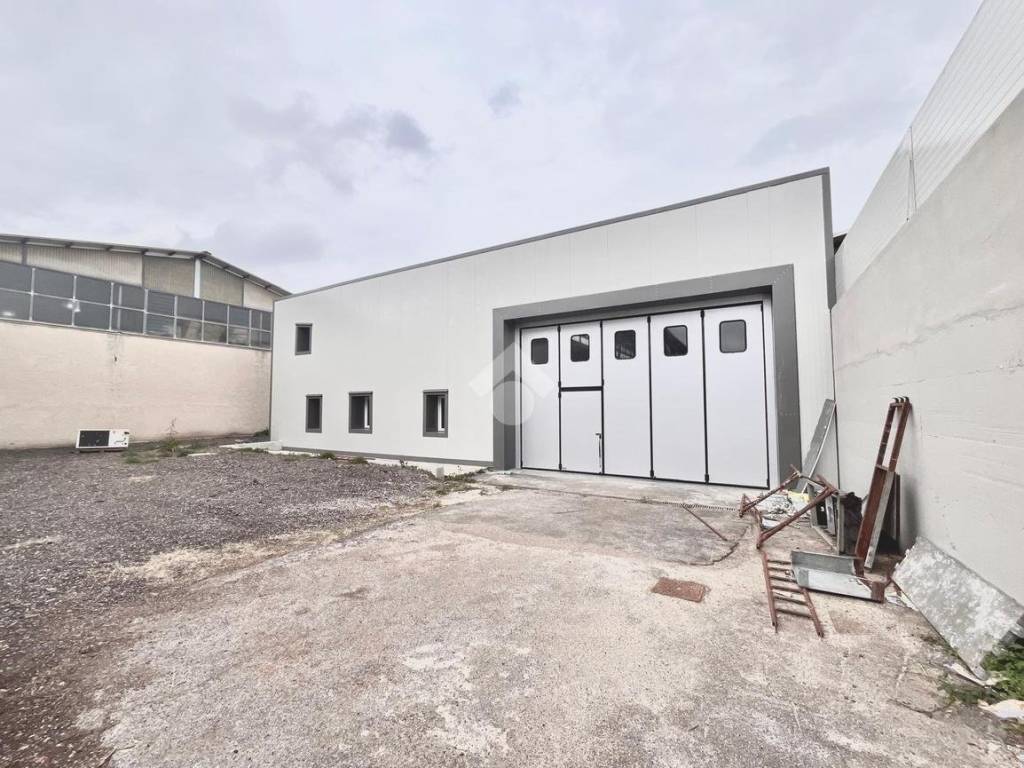 immagine annuncio 1 di 5