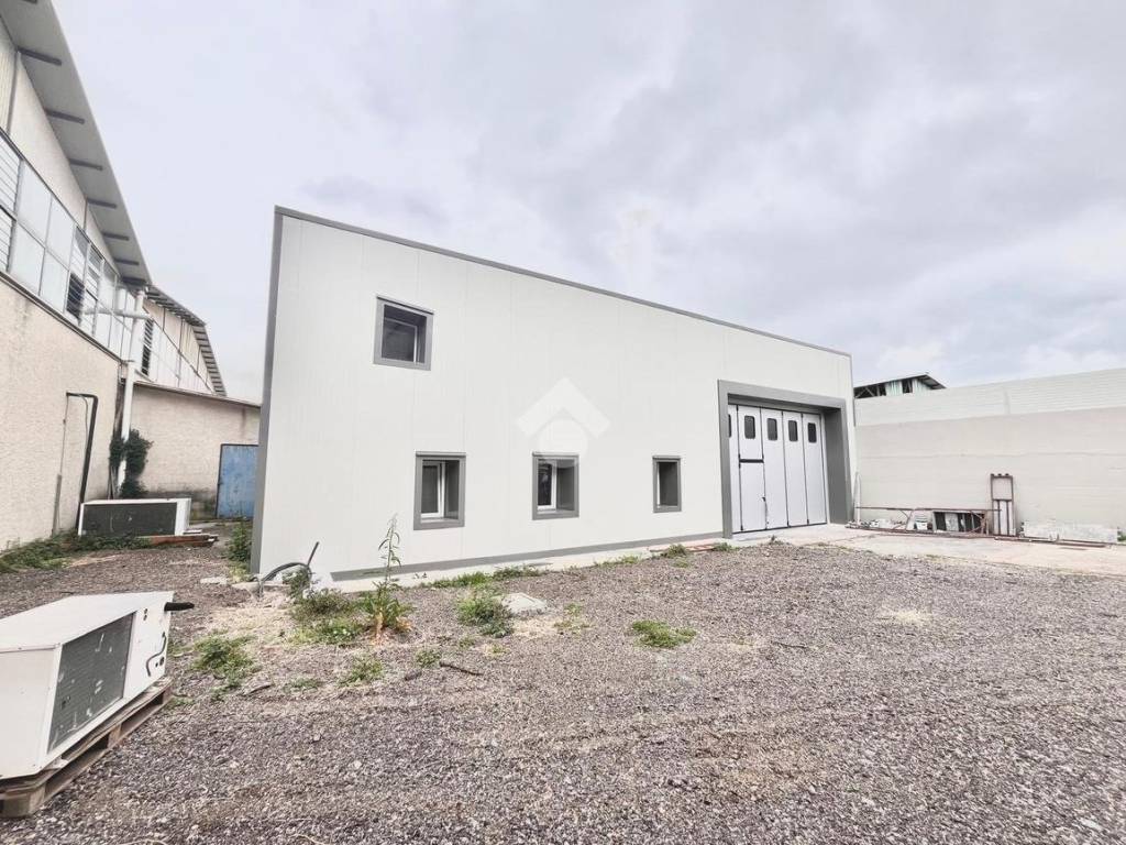 immagine annuncio 2 di 5