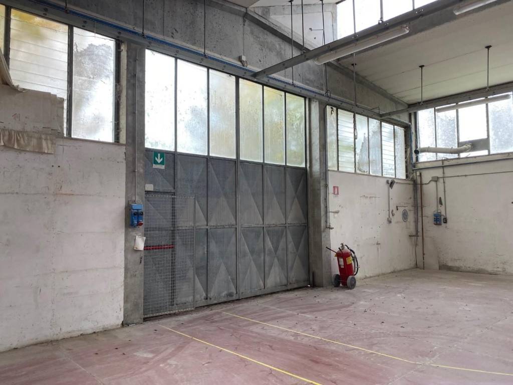 immagine annuncio 2 di 5