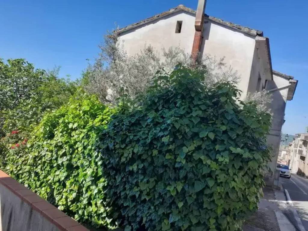 immagine annuncio 2 di 4