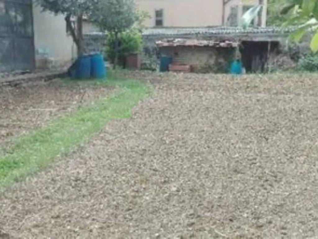 immagine annuncio 2 di 4