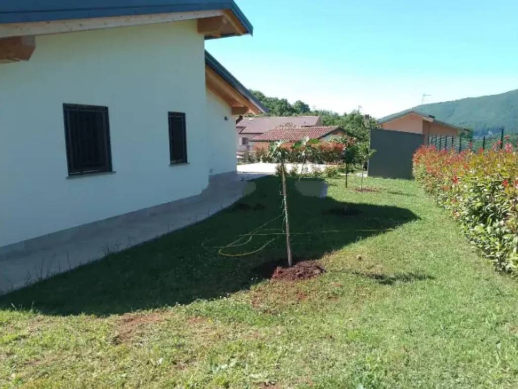 immagine annuncio 2 di 3