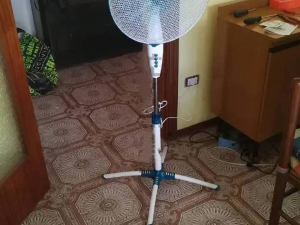 immagine annuncio 2 di 3