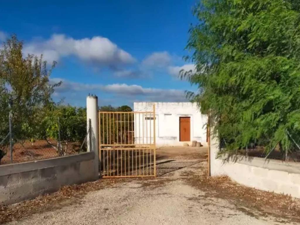 immagine annuncio 2 di 3