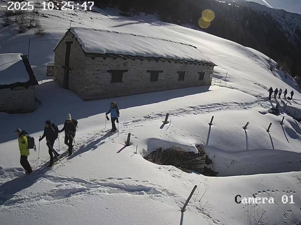 immagine annuncio 1 di 5