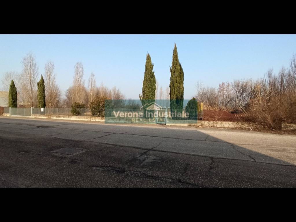 immagine annuncio 2 di 4