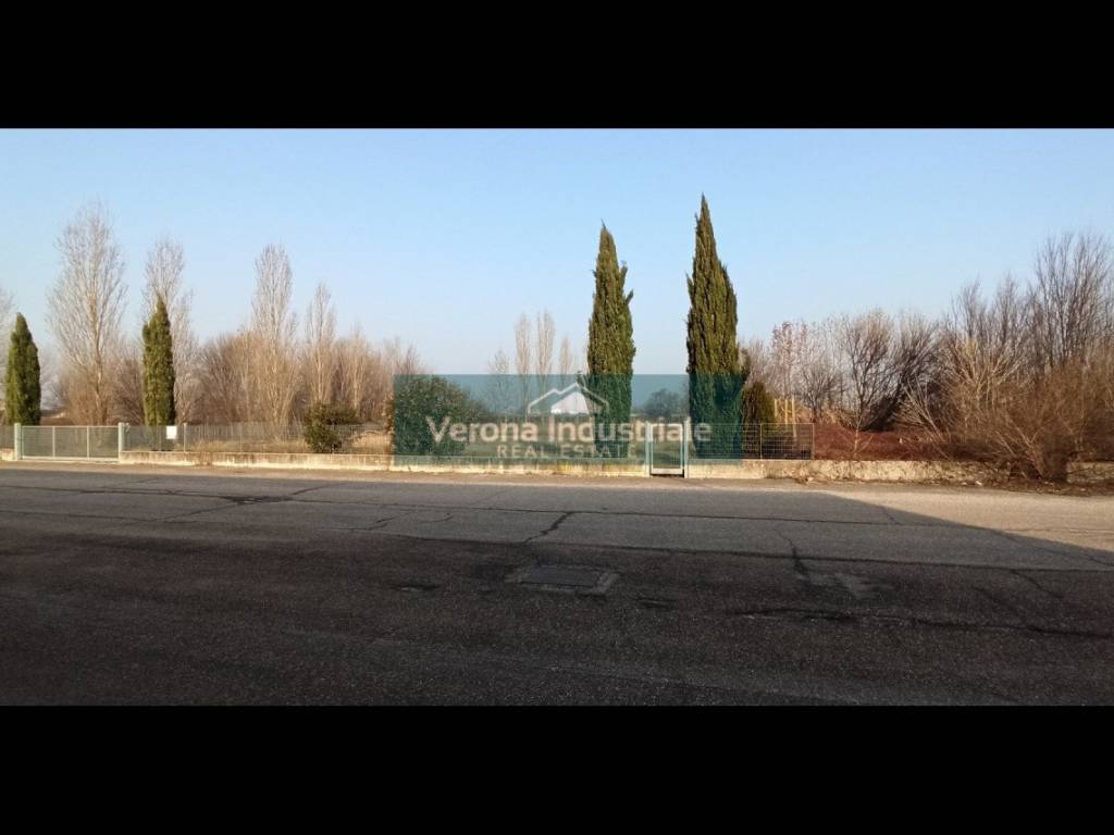 immagine annuncio 3 di 4