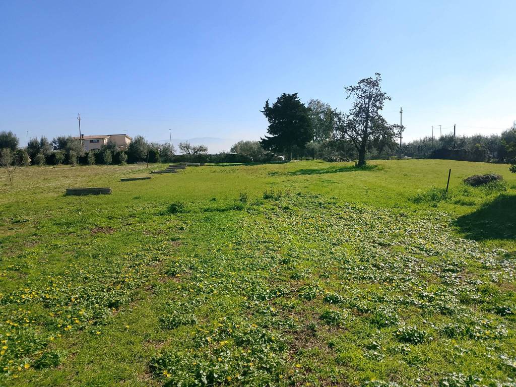 immagine annuncio 3 di 4